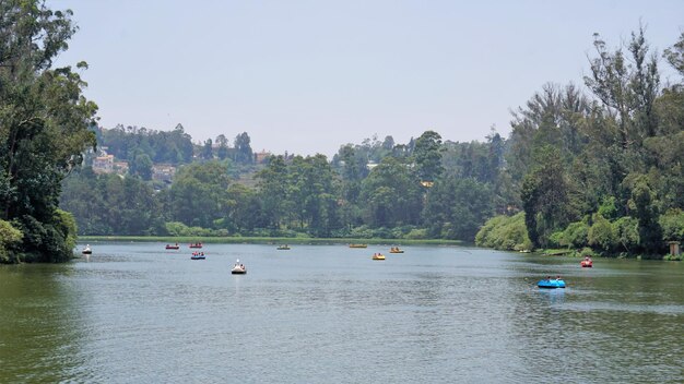 HESEGA Hotels & Resorts, Ooty