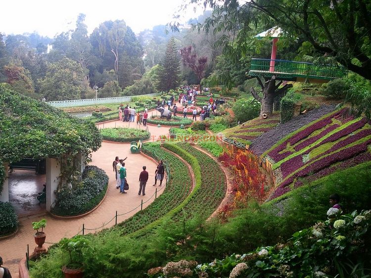 HESEGA Hotels & Resorts, Ooty